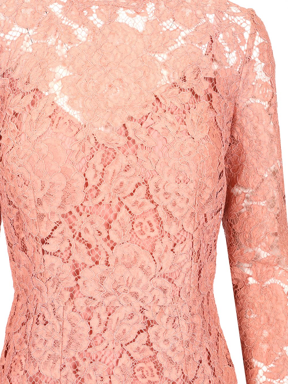 Dolce & Gabbana Lace Pencil Longuette Dress Dresses - Rose | 3ead549141fb734d2d209078b3790db6a21a34d4