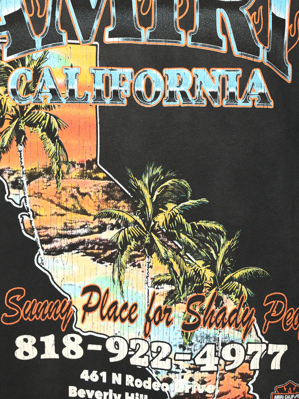 Amiri Amiri Sunny Place Oversized T-Shirt - Black | 67fd78abac56bde73441ecbf6597d6161082a95e