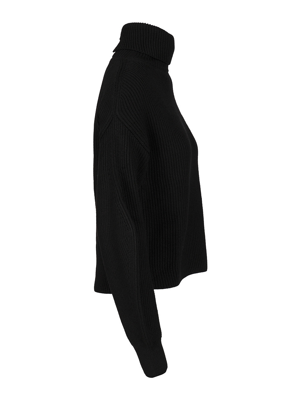 P.A.R.O.S.H. Oversized Turtleneck Sweater Knitwear - Black | 52d3c8ae5ffd109c5374af1474d287303eb6a1fa