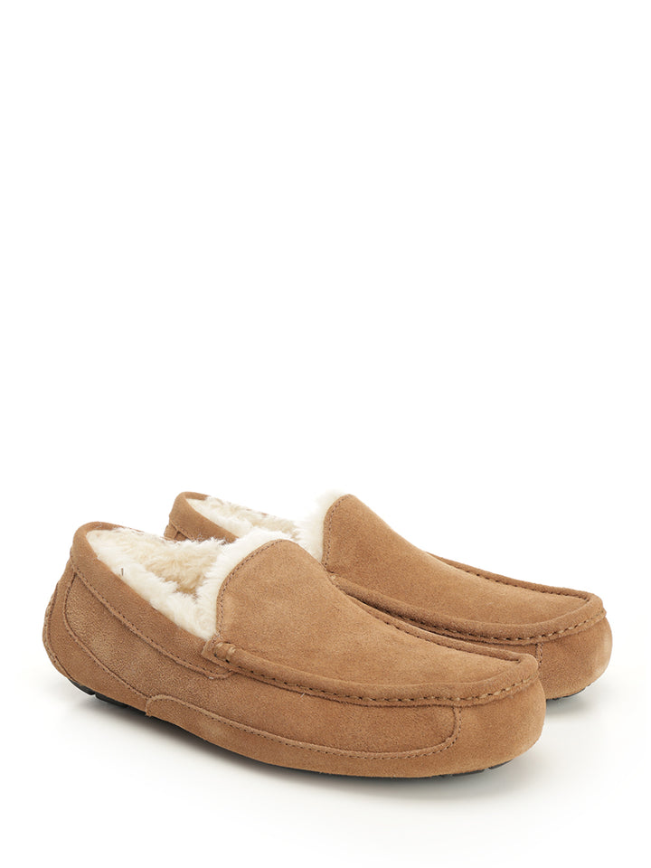 Ugg Ascot Scarpe basse - Brown | 9e7ef5ca302b69fc616db69f52dbd398a0b76b2e