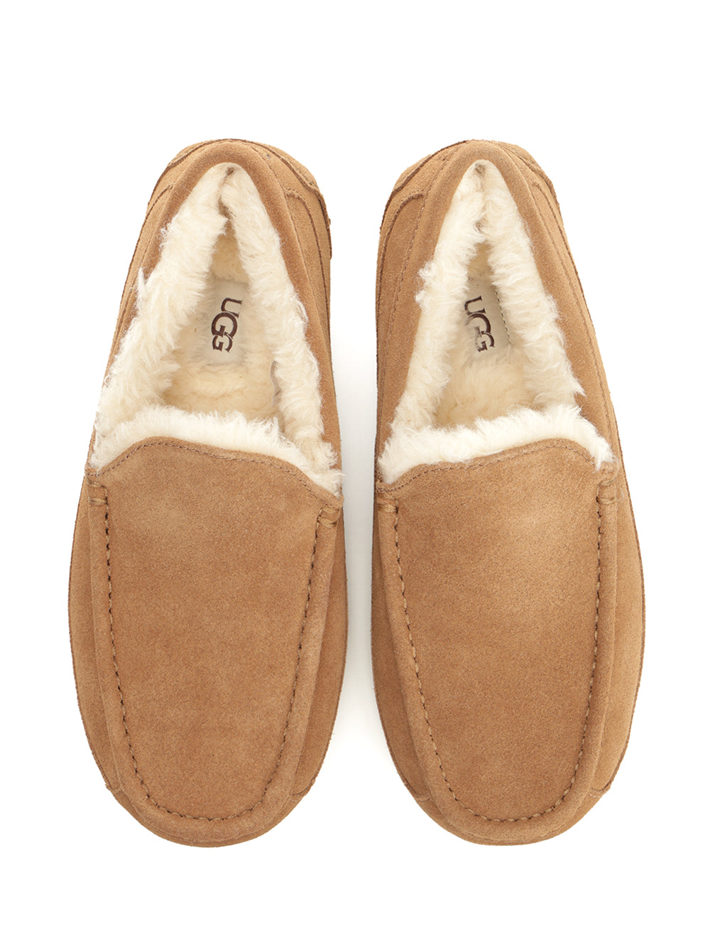 Ugg Ascot Scarpe basse - Brown | 15b787c1c9e884924048026dccab391520f1fc7e