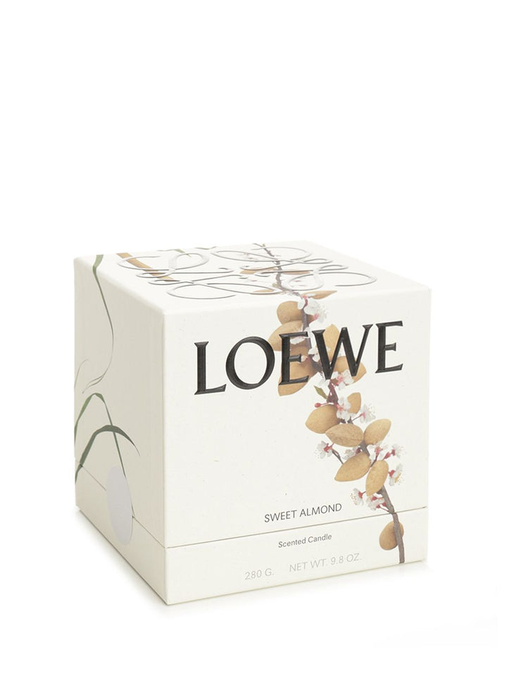 Loewe Sweet Almond Midi Scented Candle arredamento - Bordeaux | 2fbcf550eca6e5fad047878763b7950ec32e77db