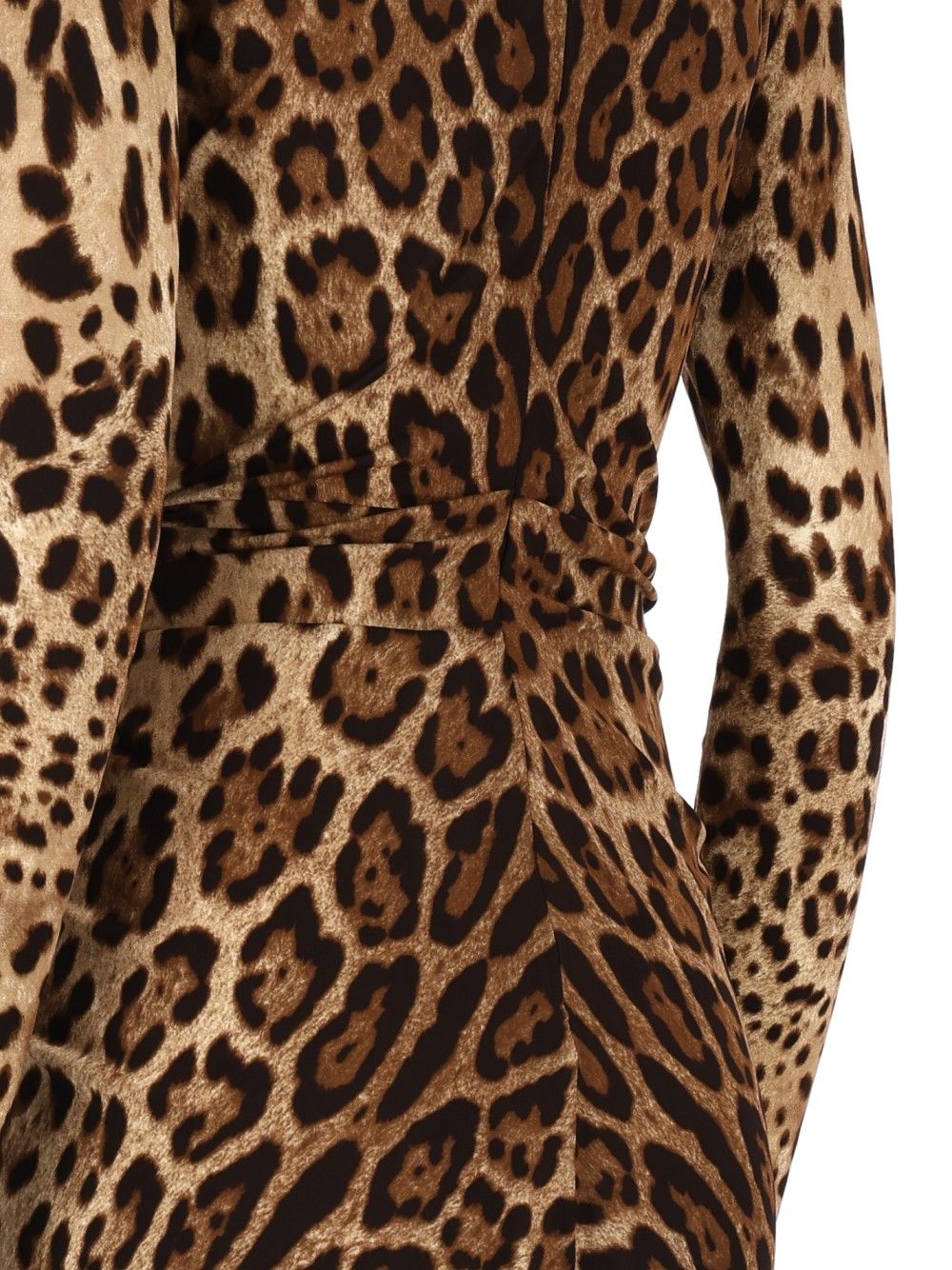 Dolce & Gabbana Viscose Jersey Dress With A Leopard Print Dresses - Animalier | f07624998dddcfc56cba7f489d03088937a2d903