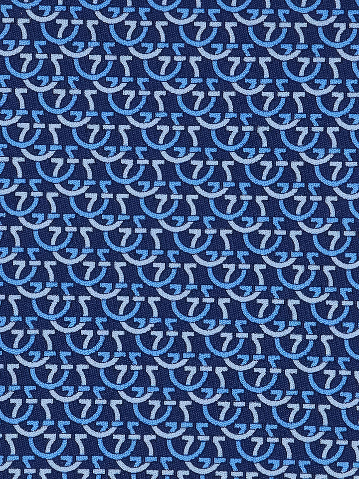 Ferragamo Ties - Blue | 1fb8a34aab4ea1bd18e14b43ba61b77d0f969c24