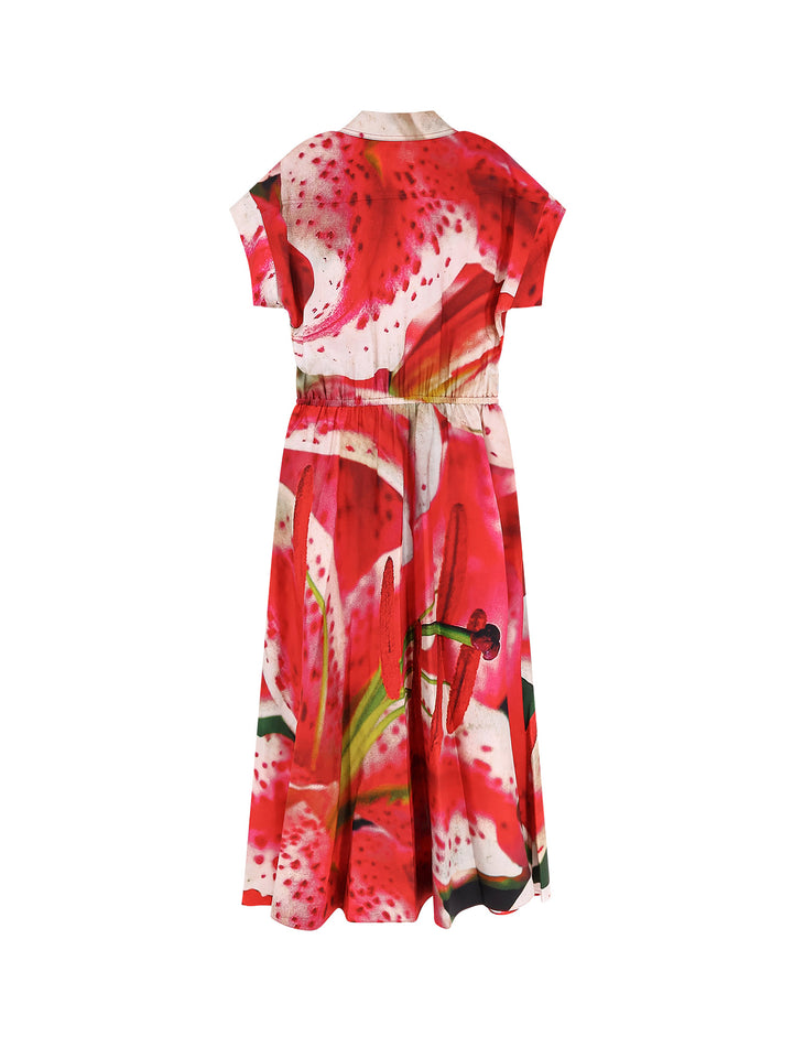 Tory Burch Dresses - Vivaci | 77d0851f67c7cb3706bede762b39a0087d63f101