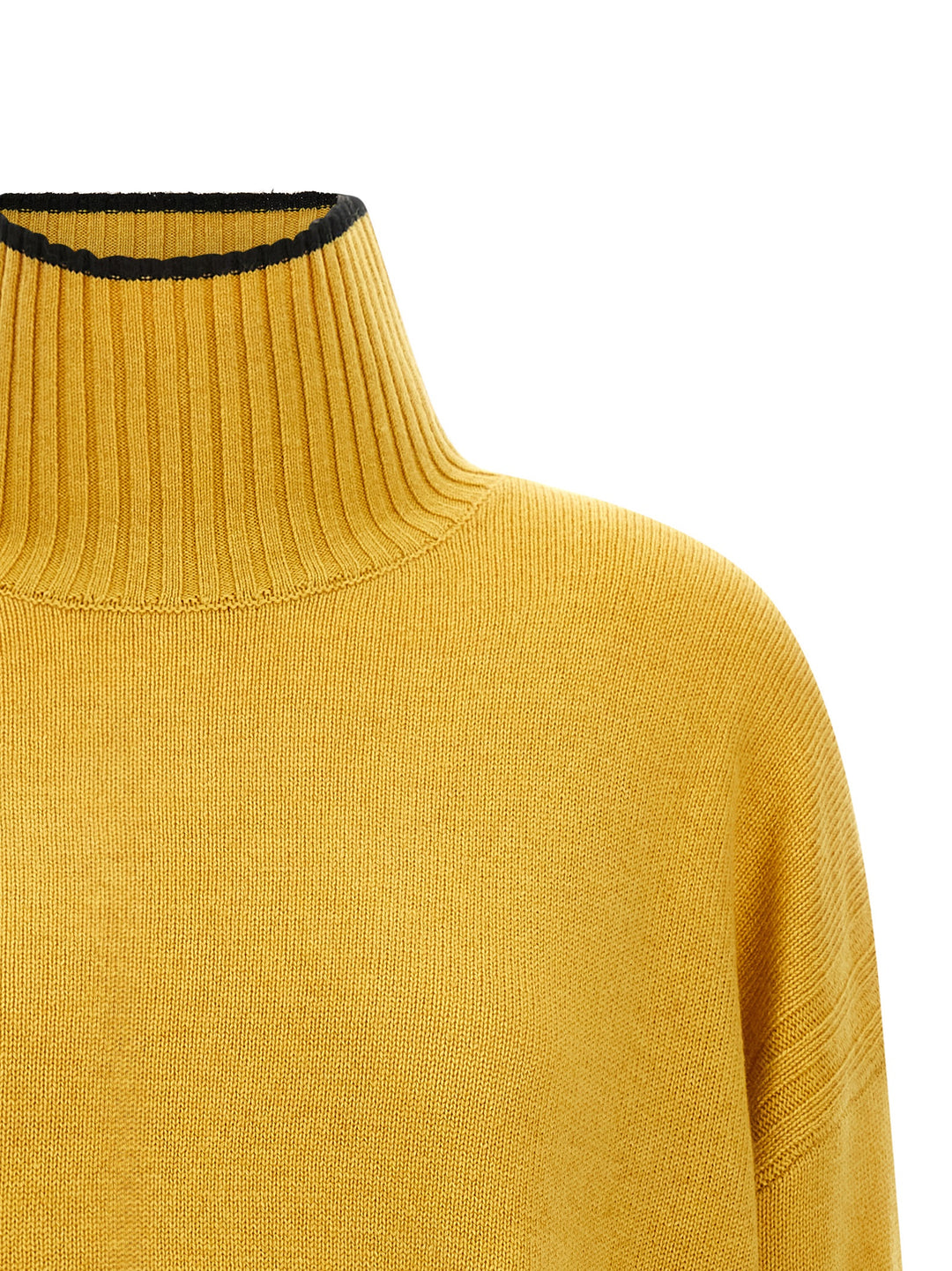 Pinko Turtle-Neck Sweater Sweaters and Cardigans - Yellow | 5134d830dd5862e0f22a8ba45ba4d6b86cea29bb