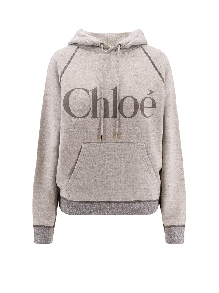 Chloè Sweaters - Vapor Grey | d4f48230f8a3d1e85f05eb1da0b3941f6bf24751