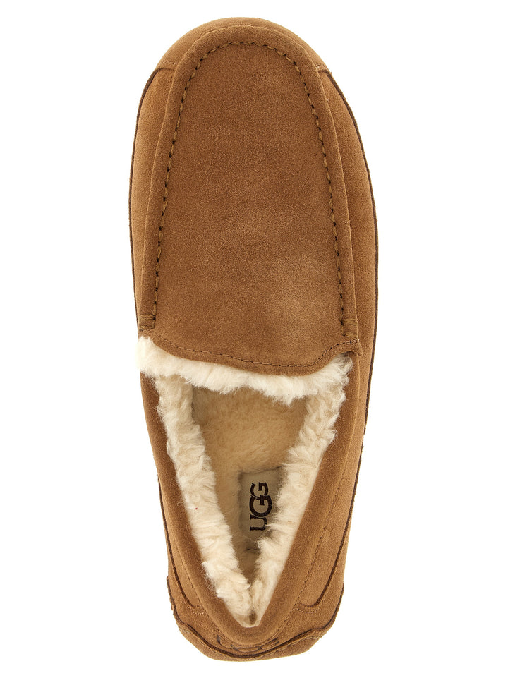 Ugg Ascot Loafers - Brown | 33e8e75cd8d1a69b1b2cd30650fb38fdafab6ccc