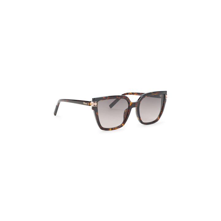 Chopard Eyewear Sunglasses - Brown | bddc58b11a0727e3895dbc851074b5903fad701b