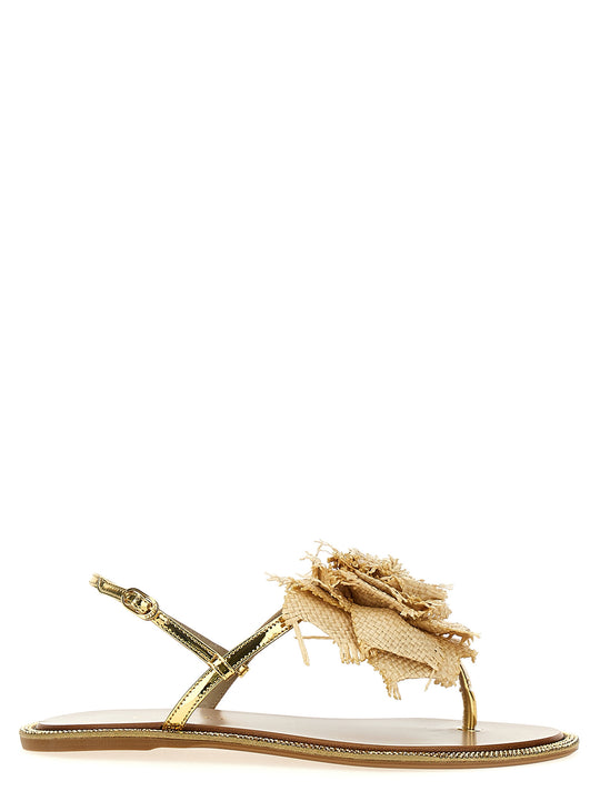 Rose Sandals Gold
