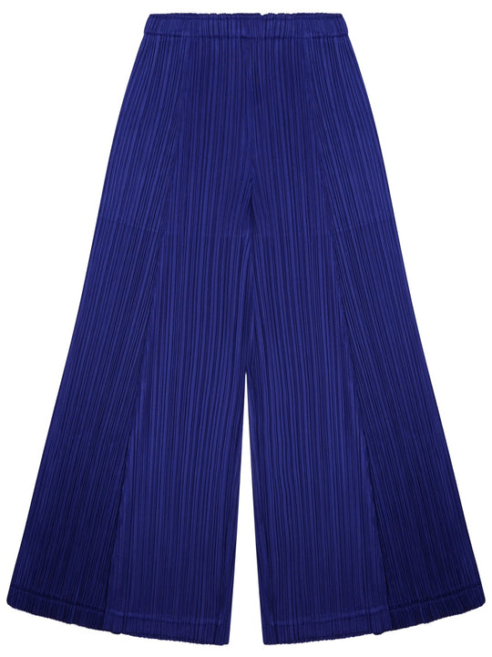 Pleated Pants