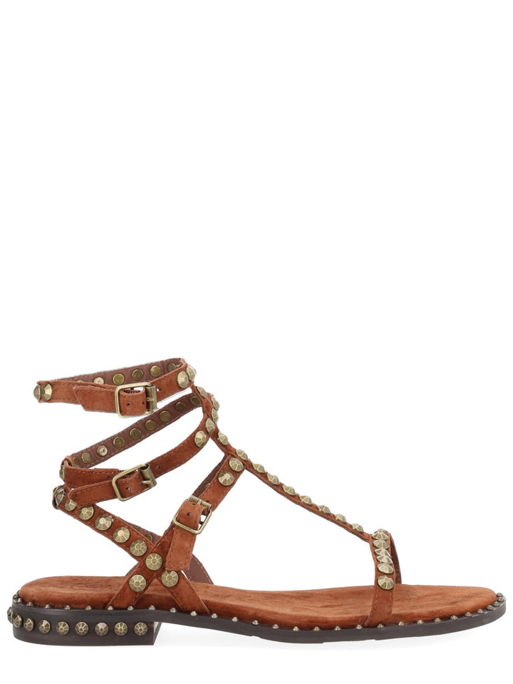 Ash Sandals - Brown | f4ce7bda2ac3385df306cbf009922eb400dadf23