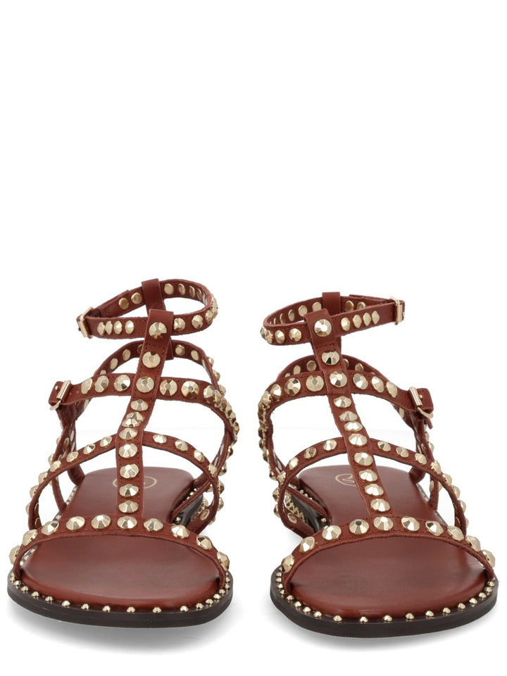 Ash Sandals - Brown | e8cd036600212839955afdd4ec9e7f6a5760deff