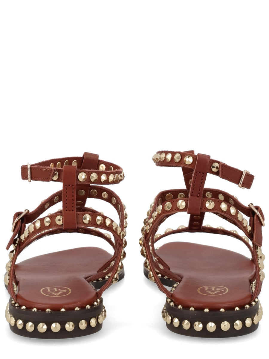 Ash Sandals - Brown | d23cec1f90e9e6fdd1a0482df936d67c4cc7f319