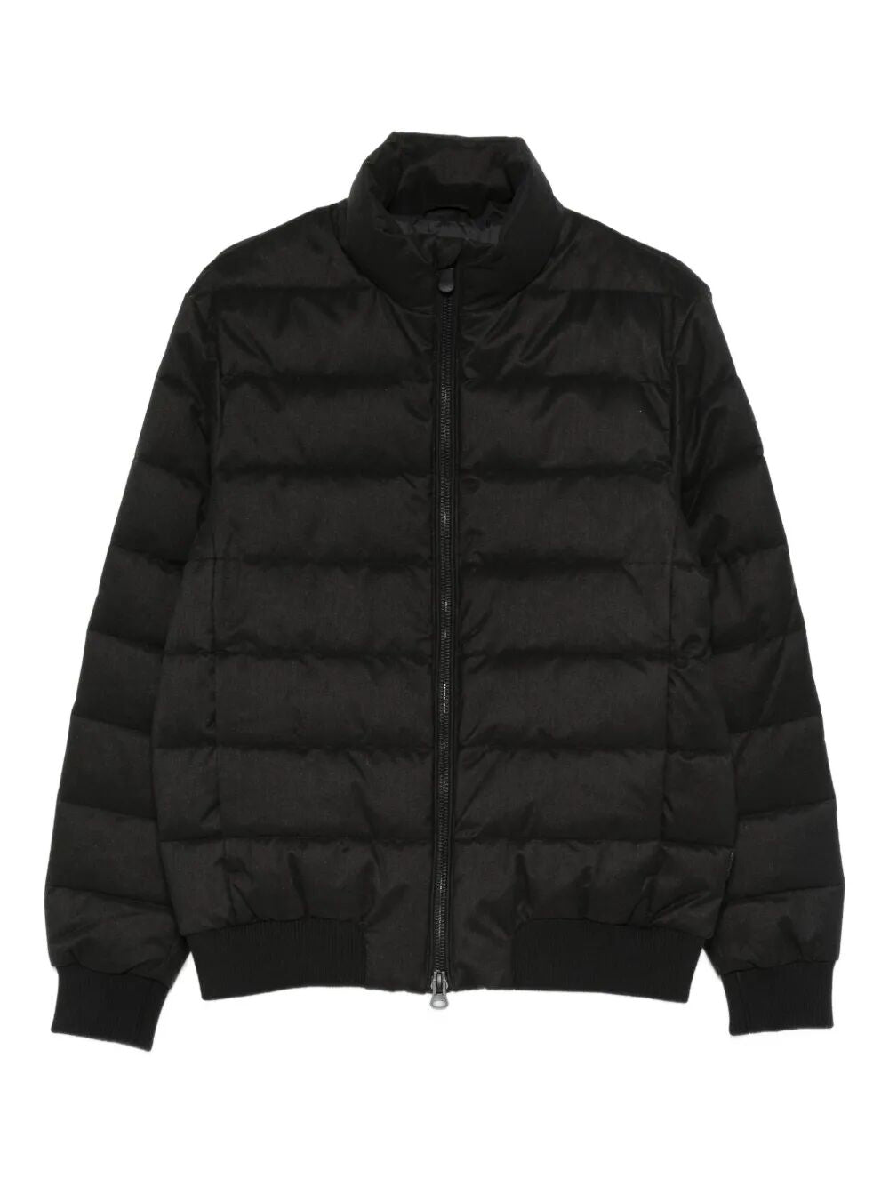 Save The Duck Down jackets - Black | 290c24566eeb5d8199d8abda2fe4a6d81c9f4e10