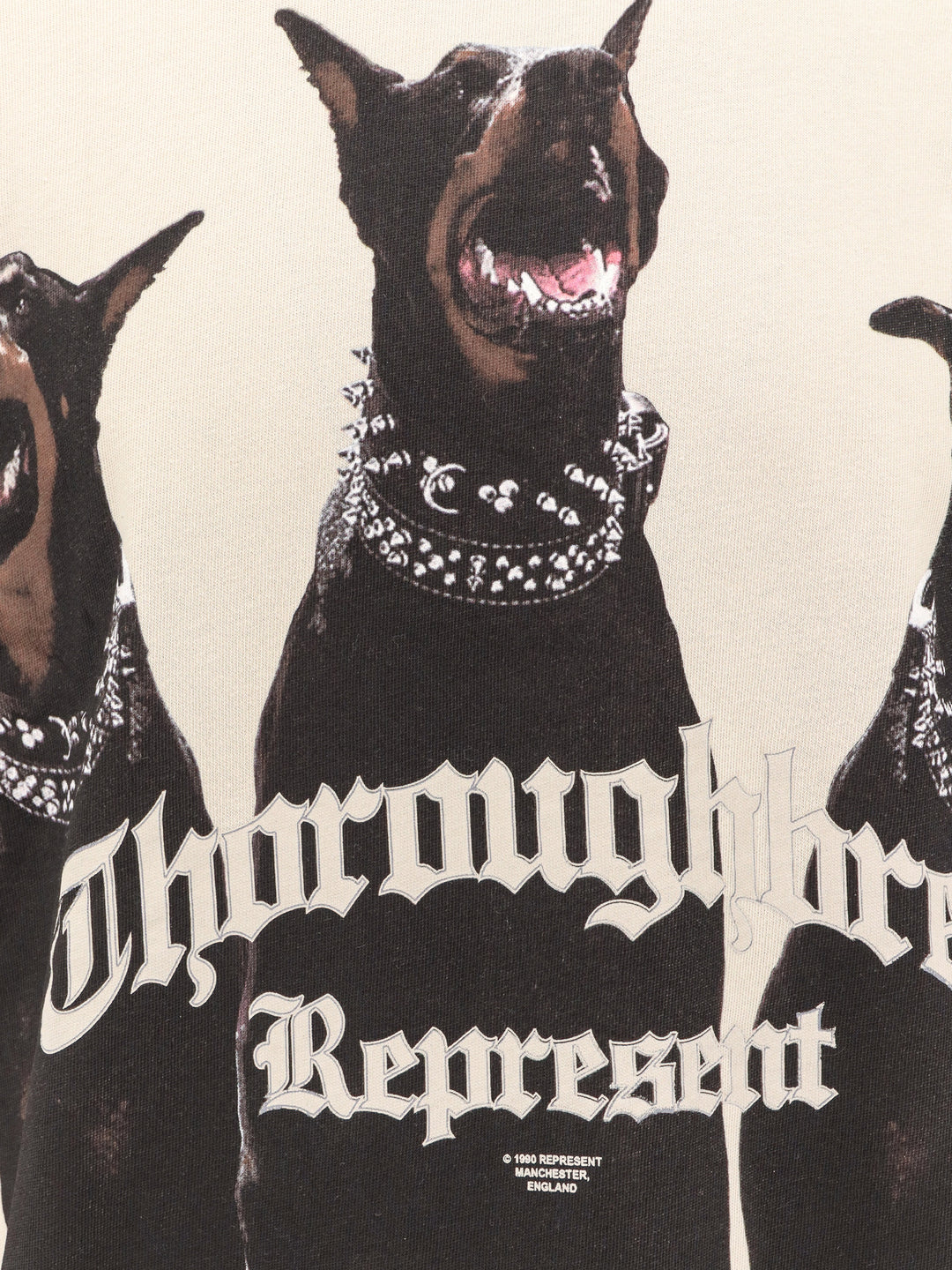 Represent T-shirts and Polos - VINTAGE WHITE | 7891228e893a9c8820269618c83ee1384ee69a2d