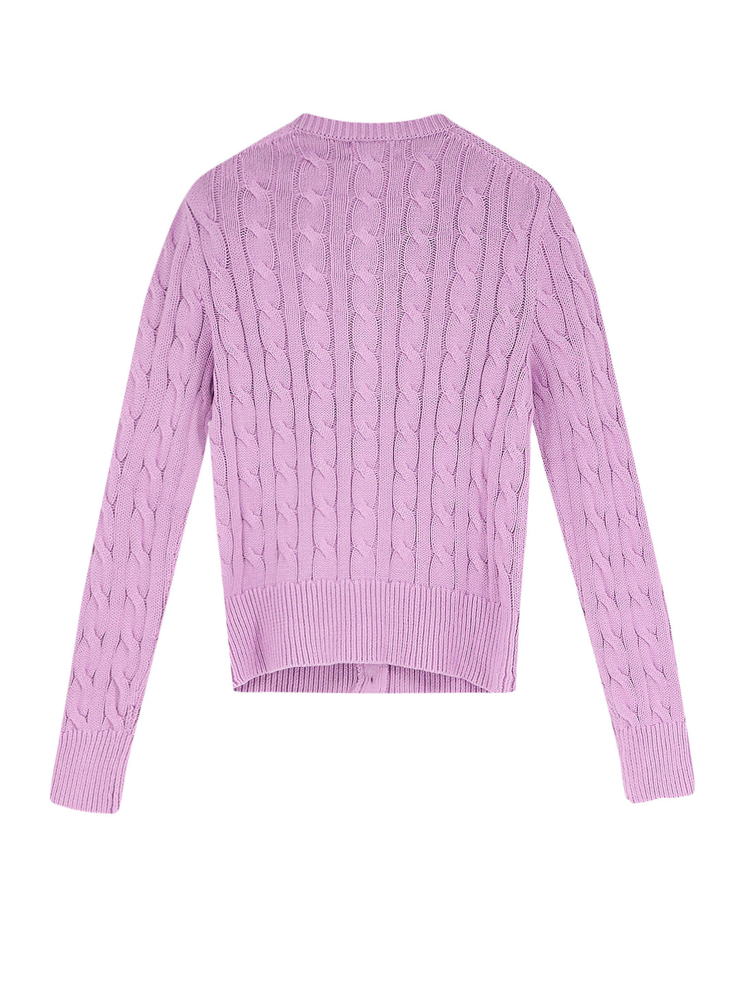 Polo Ralph Lauren Sweaters - BRIGHTASTER | bd9b54d751953e73a5f2bb4a6ee7d137832c861c