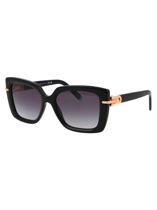 0TF4199 Butterfly Sunglasses