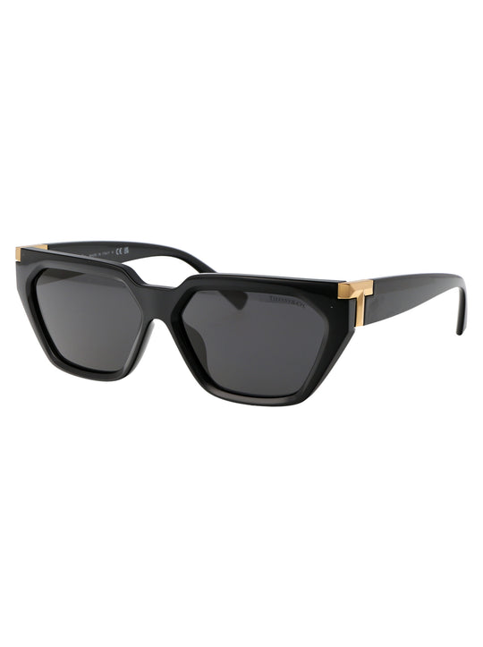 0TF4205U Geometrical Sunglasses