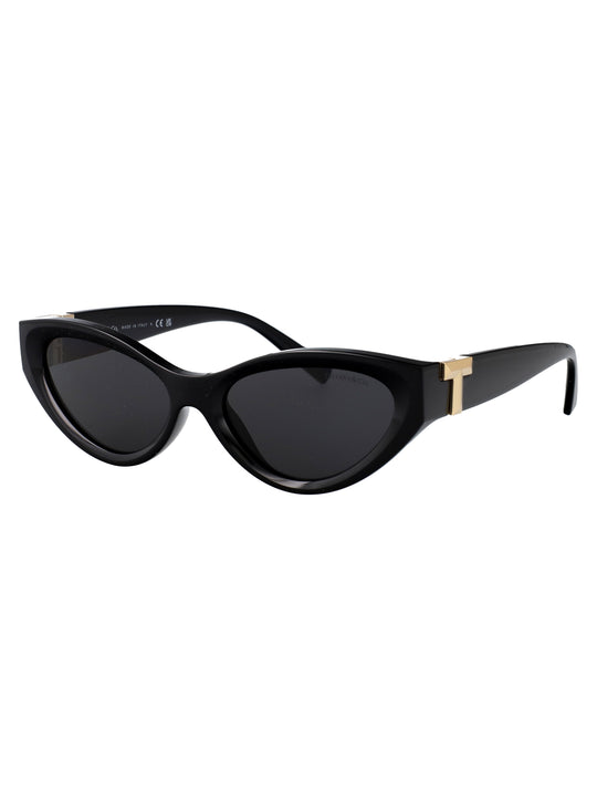 0TF4225U Oval Sunglasses