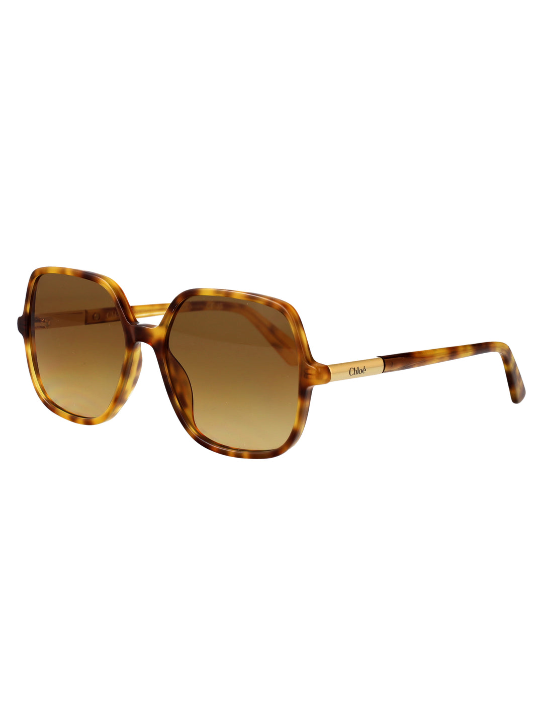 Chloe SUNGLASSES - Havana | ee0c6a0eaee9744379a692ad90004608a6afd3f8