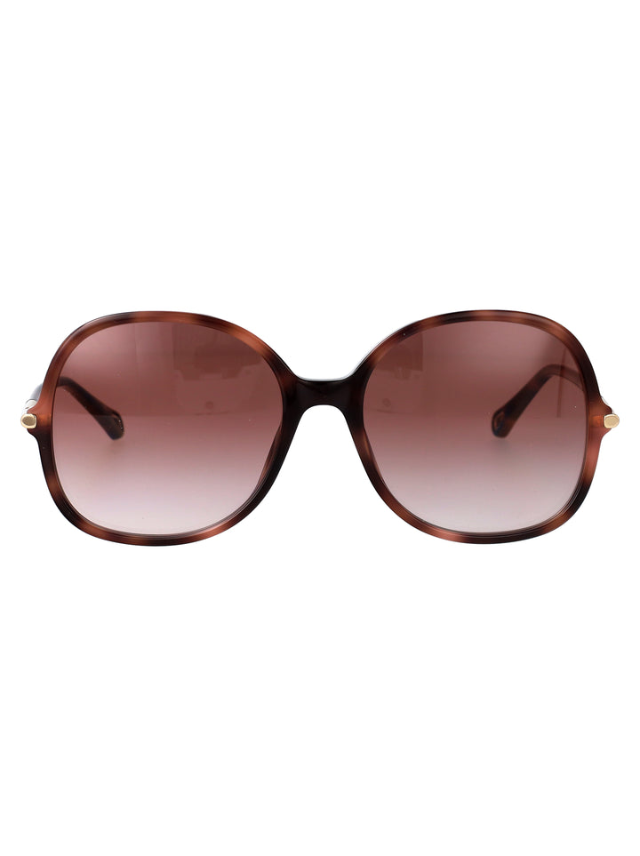 Chloe SUNGLASSES - Havana | e4531ee300b8add1111cf3fc71bdb405e864b09e
