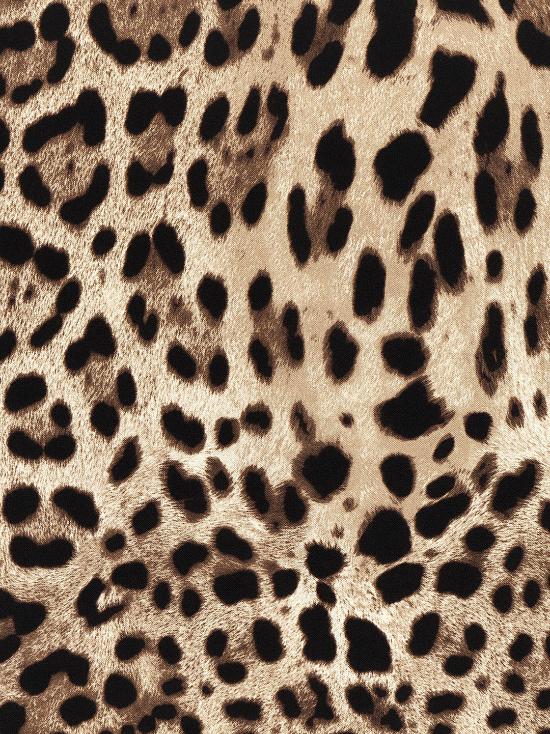 Dolce & Gabbana Leopardo Scarves and Foulards - Multicolor | b513b2754a50c955a7d27b103f7c6a61a7af5303