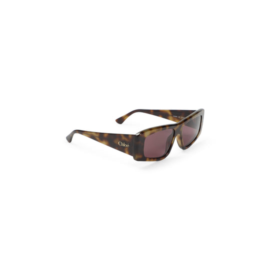 Sunglasses Brown