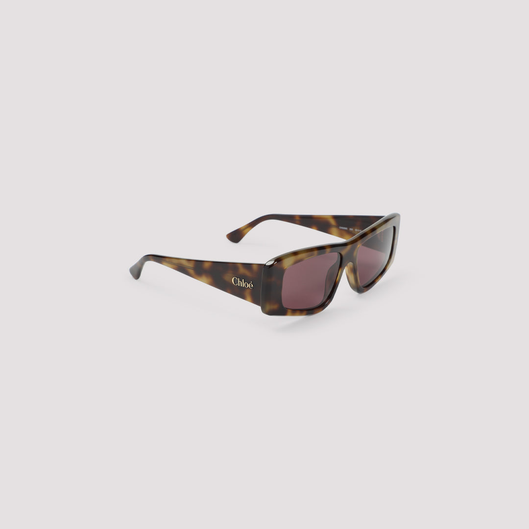 Chloe Eyewear Sunglasses - Brown | 19de542c442d8a2e6f62fe5946837f02eb105ec9