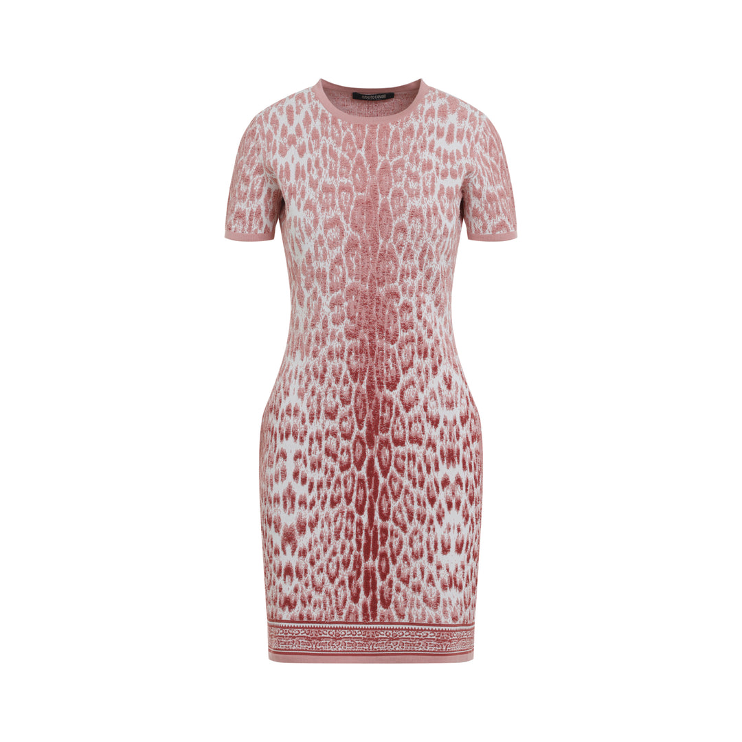 Roberto Cavalli Mini dresses - Pink & Purple | fe332b3e45fd3dba080b10e869f195a9e616a192