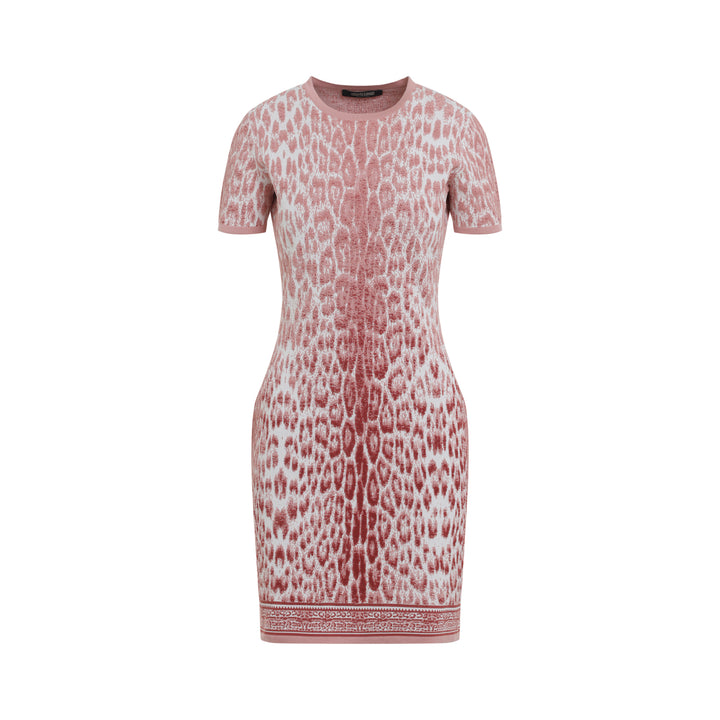 Roberto Cavalli Mini dresses - Pink & Purple | fe332b3e45fd3dba080b10e869f195a9e616a192