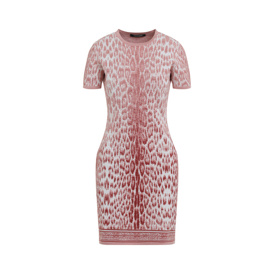 Mini Dresses Pink & Purple