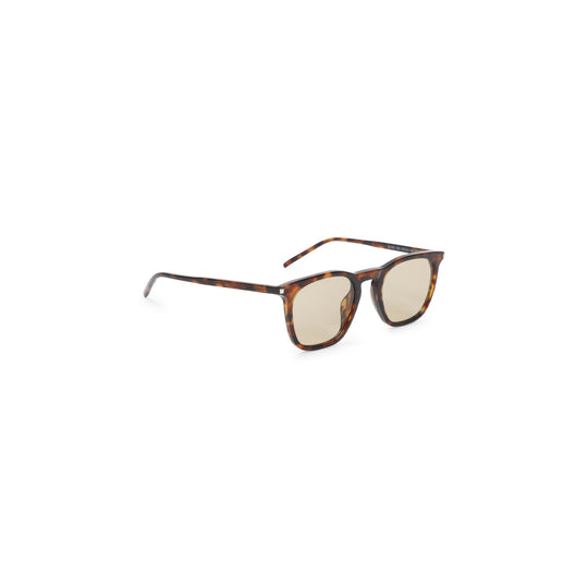 Sunglasses Brown