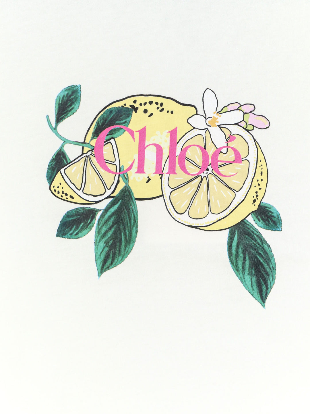 Chloè T-shirts and Polos - Iconic Milk | bcc35b289d4f4bdf9c0ebd17f8f9a17e65fa2796