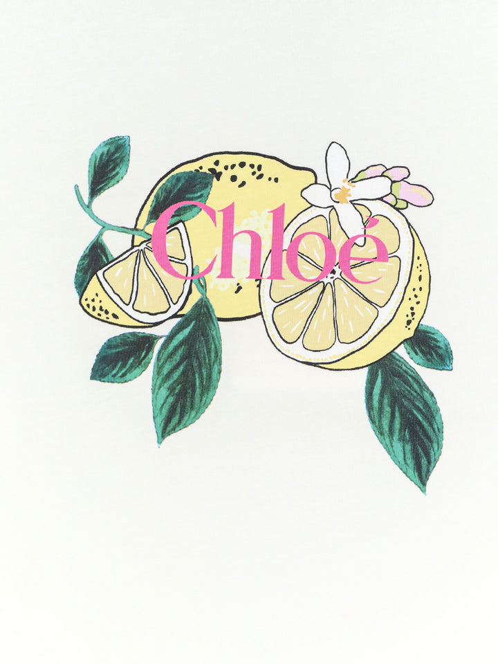 Chloè T-shirts and Polos - Iconic Milk | bcc35b289d4f4bdf9c0ebd17f8f9a17e65fa2796