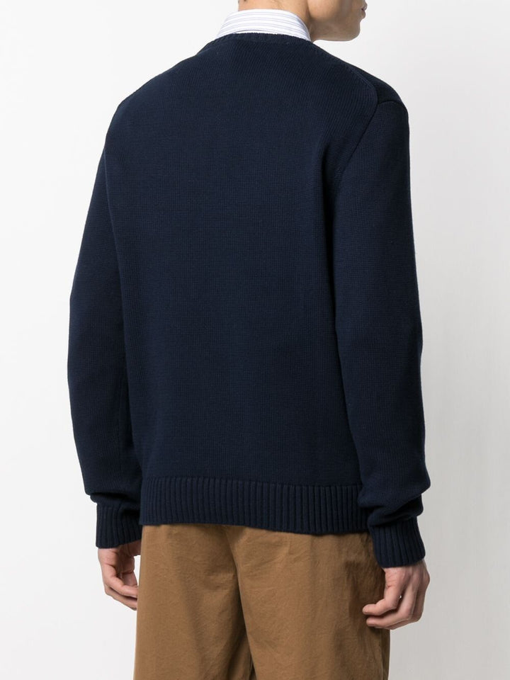 Polo Ralph Lauren Pullover - Blue | d0a830888c9d9723e68d2730d6418bc68c0d4401