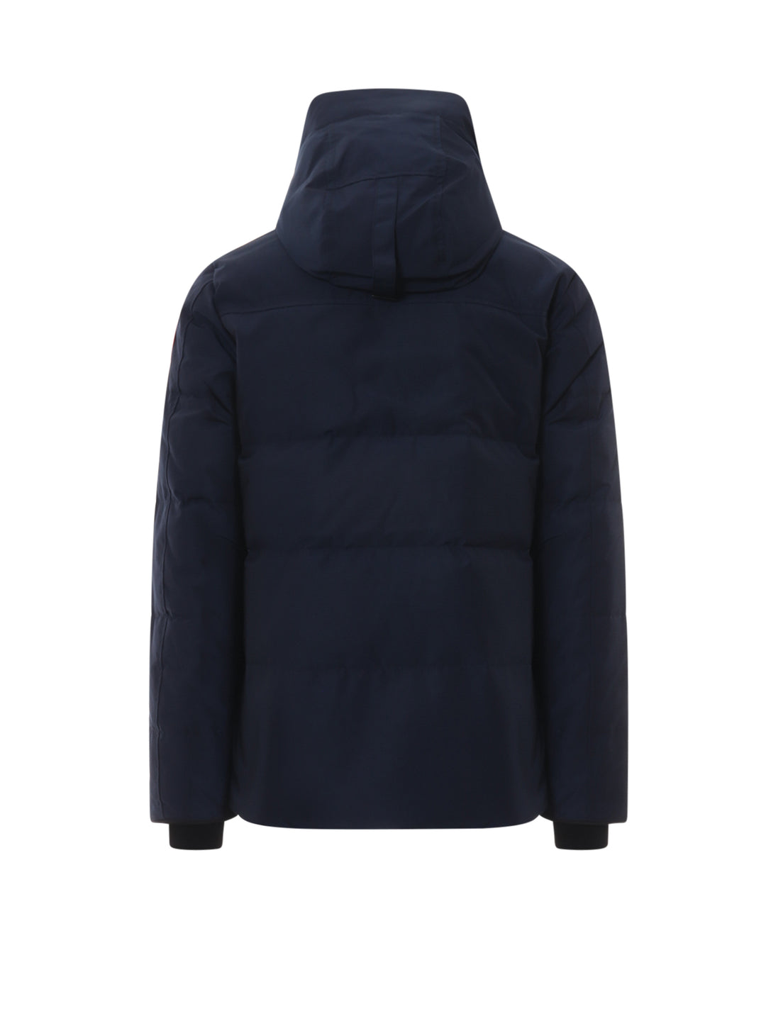 Canada Goose Jackets - Blue and green | 7f0d74319d12d10ebb962a9117d3c46b9b254e4b