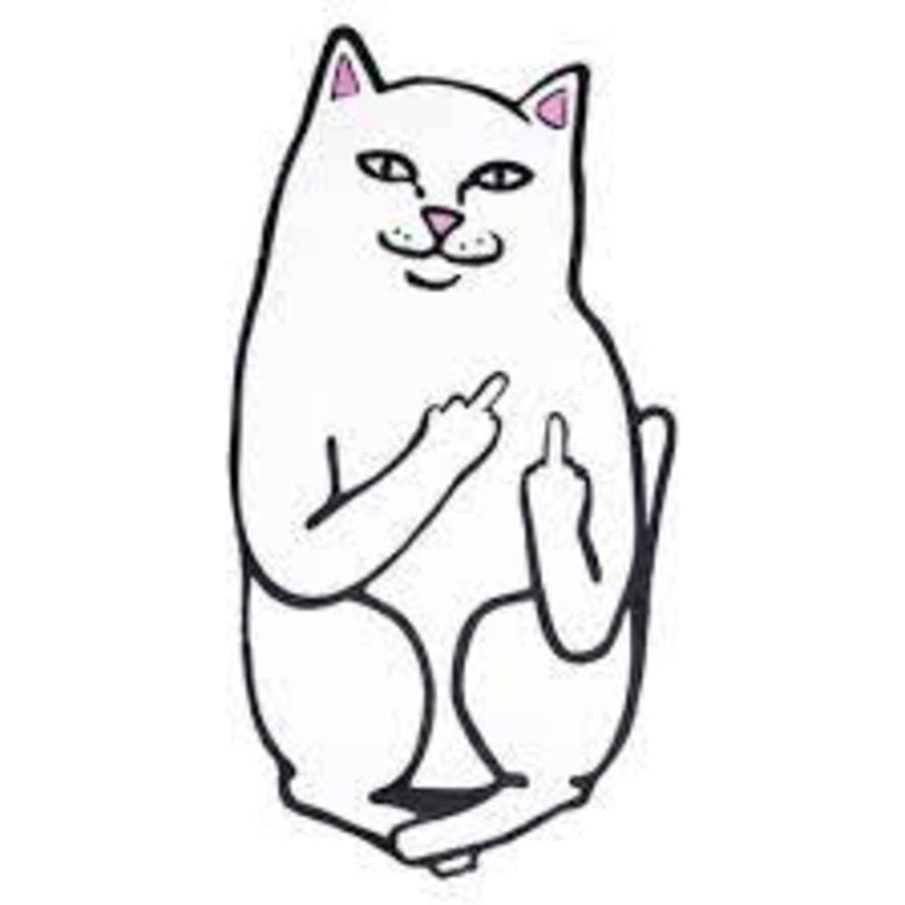 Ripndip General Accessories - White | f3418bedd8d62e5b28b0dad61fe4742698dfcd51