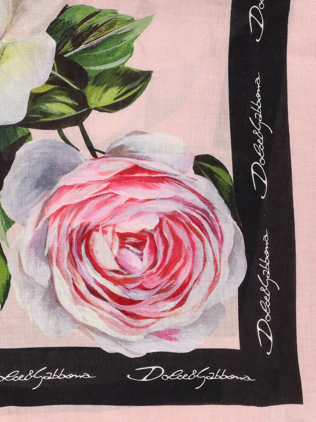 Dolce & Gabbana Scarfs - Light and natural | 51a136be64f70c0c223ea98ec9d8ede63092d58d