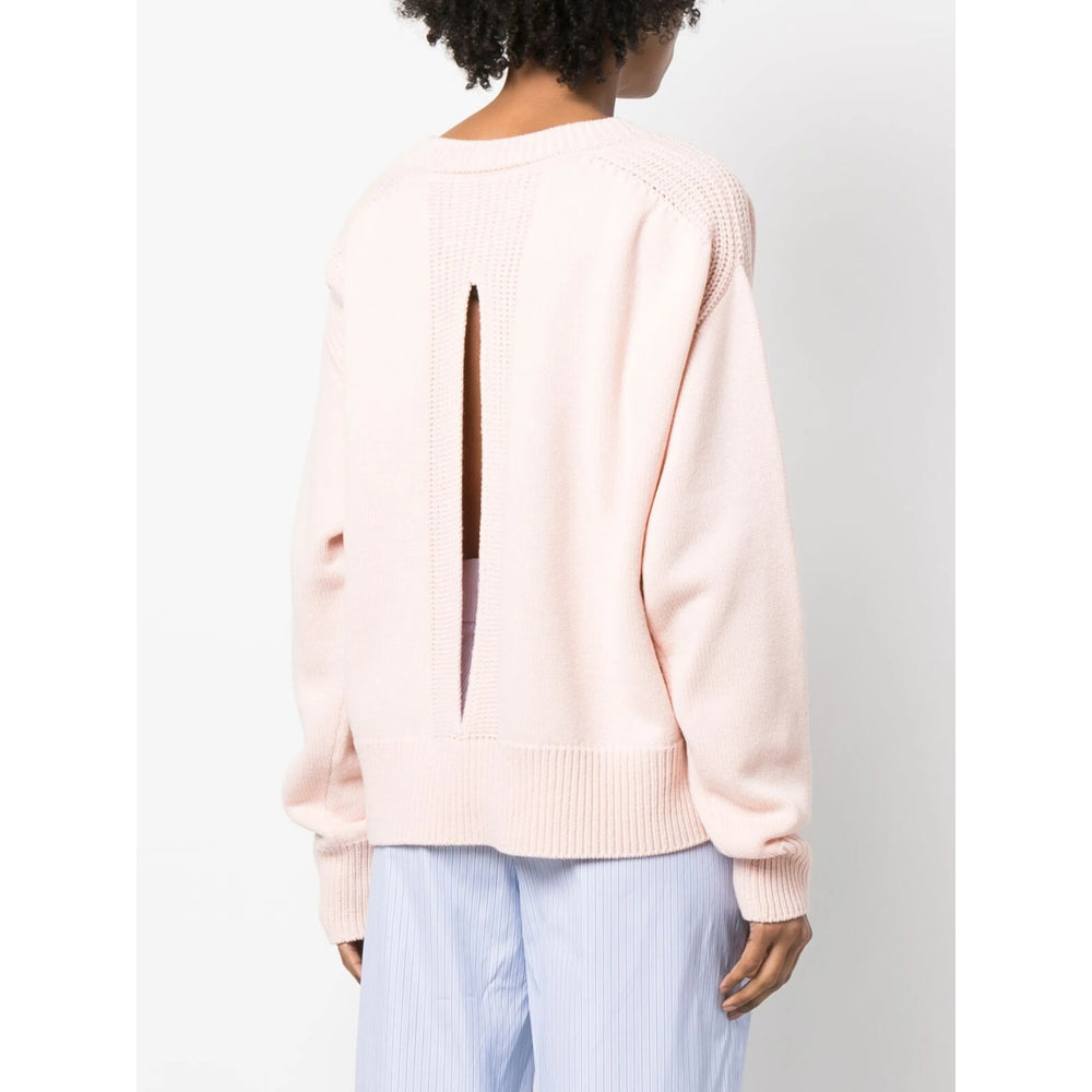 Sa Su Phi Sweaters - Pink | 45b7f26f0fbf37c7a66b7c3ec94688031f4ac342