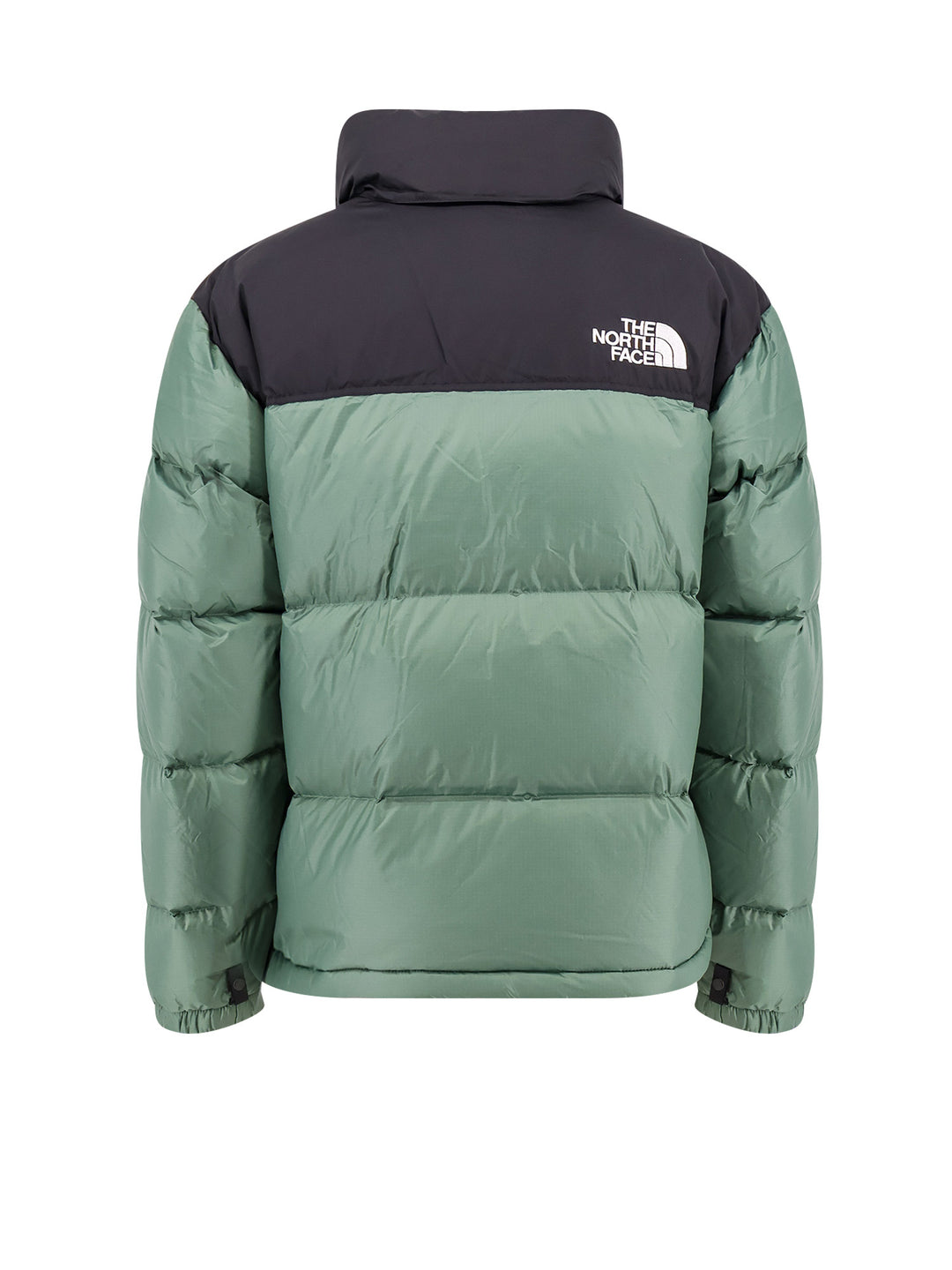 The North Face Jackets - Blue and green | 695e72c2374875a2a60d60eeb7bf64698f510227