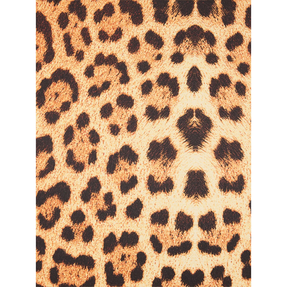 Roberto Cavalli Dresses - Brown | 3fe13358c5b760e67753cadce6b6518cf34e4943