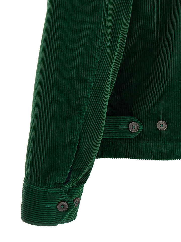 Polo Ralph Lauren Wynton Piumini, Parka, Giacche casual - Green | 1aa26c77ca8e1d211832238bfafaf47126ef8bcf