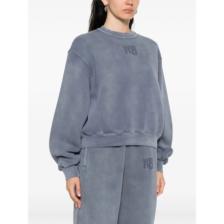 Alexander Wang Sweatshirts - Blue | 2b9a7e57dfc706d41740e75675945c058e2f6707