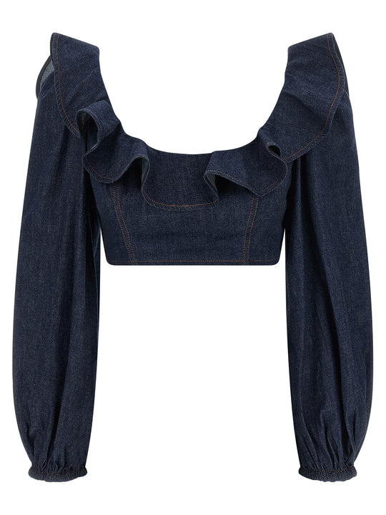 Aster Tops Blue