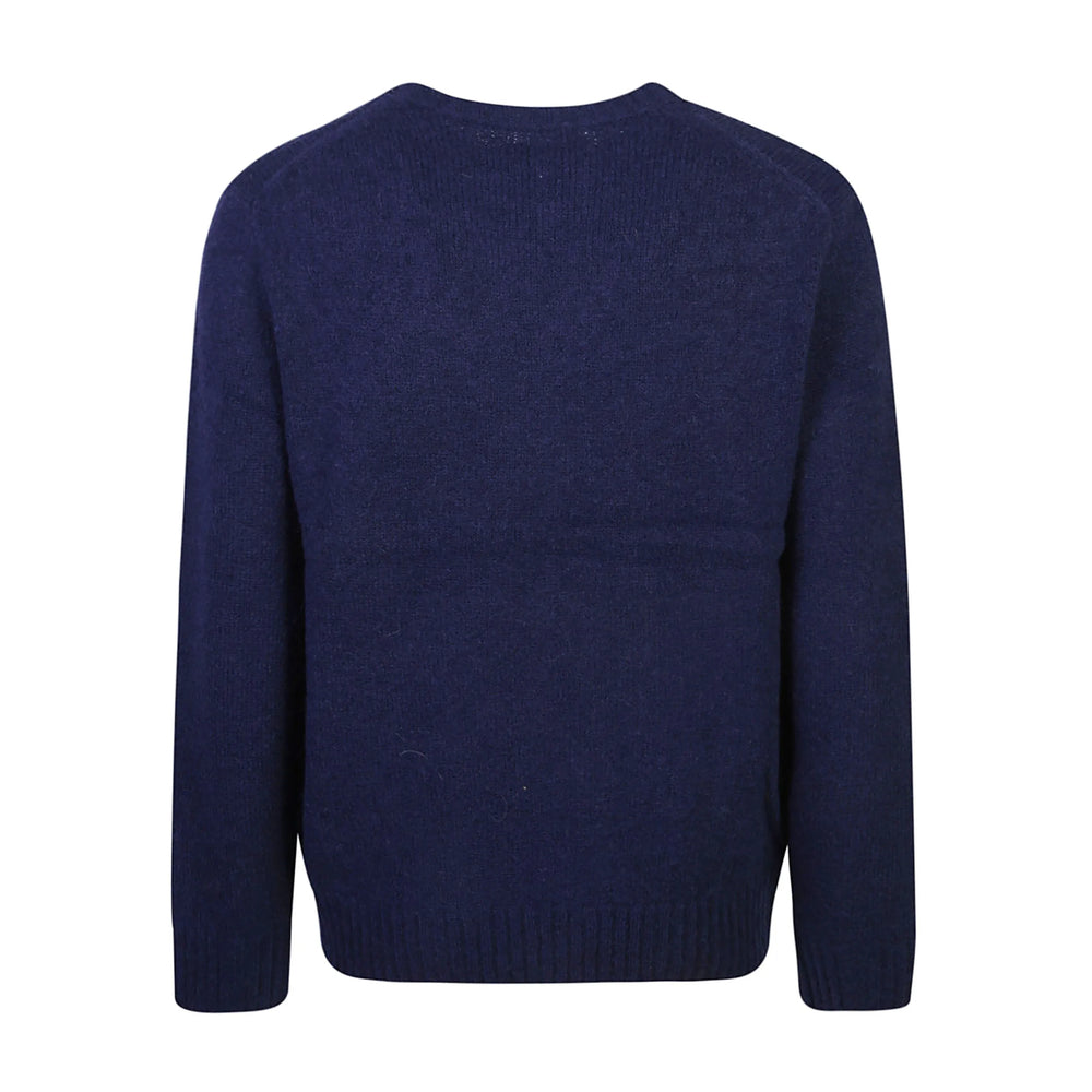 Ralph Lauren Sweaters - Blue | c80f02c03e278cbf8a9e59fc8cf8c53b4e7fcd21