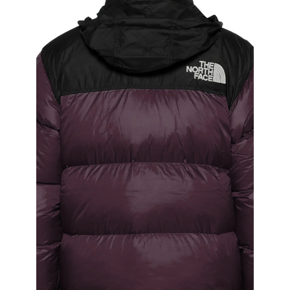 The North Face Outerwears - Purple | 39dd6cf3a3f772c57e9dc4ce7d7dbf6794b439c0