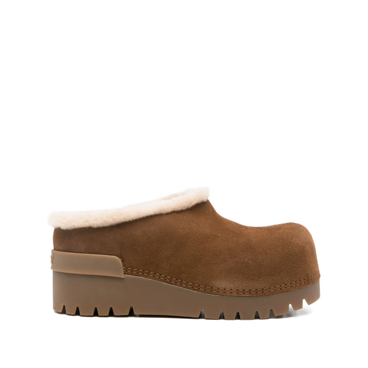 Ash Shoes - Brown | a91bdac00f339e59b2d8815843c13bdb2e3dcd41