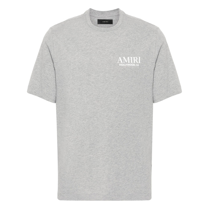 Amiri T Shirts - Gray | 674e6942801a2861d94ae637282199ad077a2286