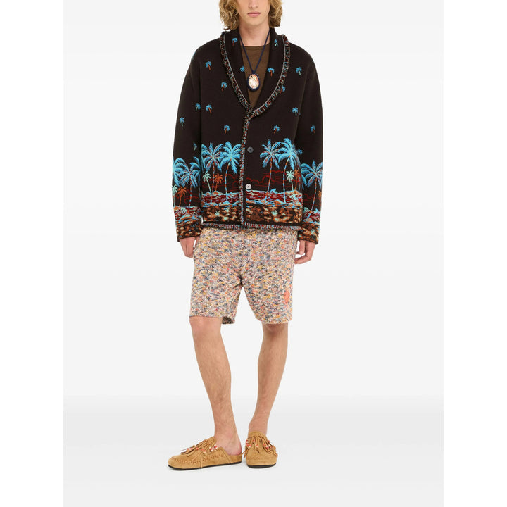 Alanui Sweaters - Brown, Blue | 6cc0ffd945d6585df45620d65e09ddd56a600f31